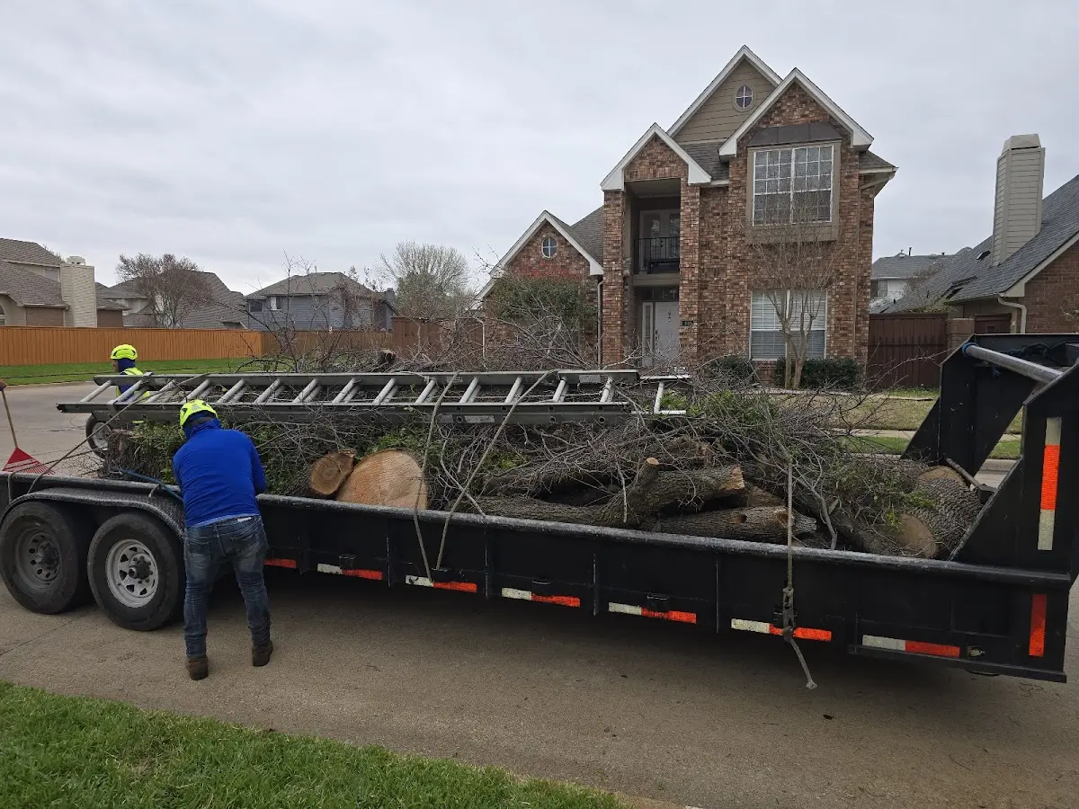Expert Tree Fertilization with proper safety equipment in Galloway